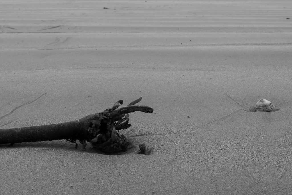 Photographie illustration mer Bretagne